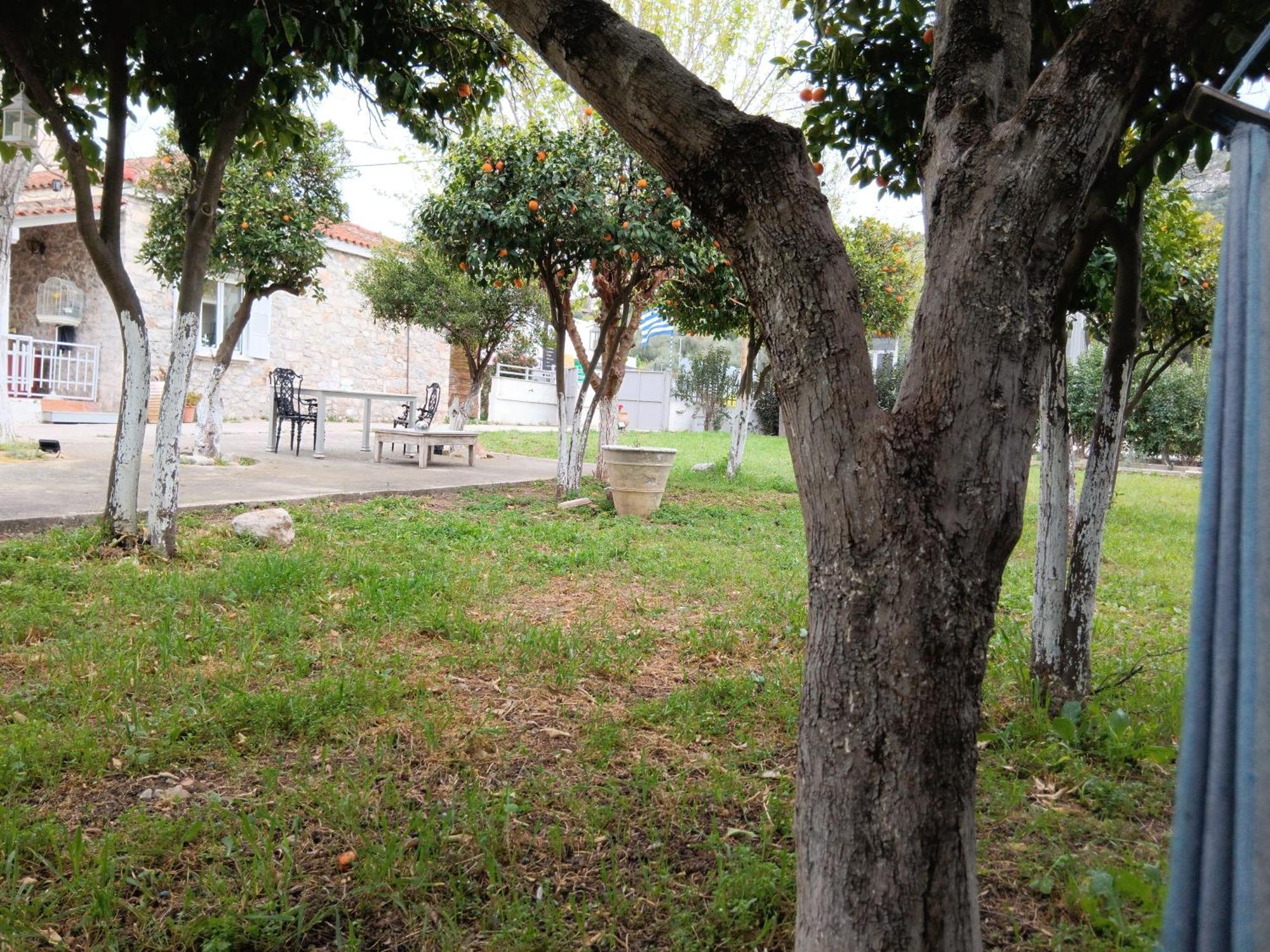 Άθοσ Villa Nafplio Luaran gambar
